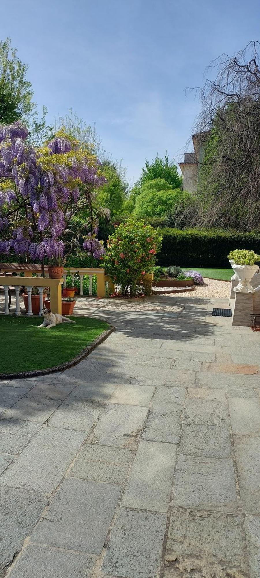 Villa Lina Cremona Bagian luar foto
